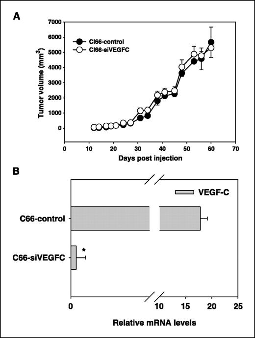Figure 2. A, primary tumor growth and VEGF-C expression in vivo. Kinetics of tumor growth in mice injected with Cl66-siVEGFC and Cl66-control cells was examined. Tumor size was measured twice weekly. Points, volume for each group; bars, SE. B, expression levels of VEGF-C in Cl66-siVEGFC tumors and Cl66-control tumors as determined by qRT-PCR. Columns, relative mRNA expression for VEGF-C; bars, SE. *Significantly different from control.