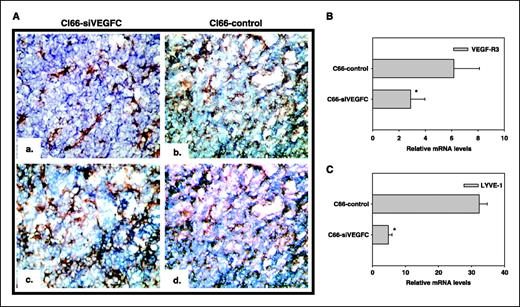 Figure 3. A, lymphangiogenesis in mammary tumors expressing different levels of VEGF-C. Cl66-siVEGFC tumor (a) and Cl-66 tumor (b) were immunostained using anti-VEGFR-3 antibody for analysis of lymphangiogenesis. In addition, Cl66-siVEGFC (c) and Cl-66 (d) tumors were immunostained with anti-CD31 antibody for neovascularization analysis. B and C, expression levels of lymphatic markers VEGFR-3 and LYVE-1 in tumors produced by Cl66-siVEGFC and Cl66-control cells as examined by qRT-PCR. Columns, relative mRNA levels for VEGFR-3 or LYVE-1; bars, SE. *Significantly different from control.