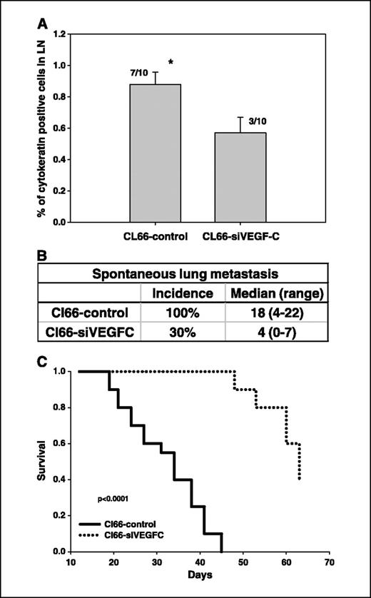 Figure 4. Spontaneous lymph node and lung metastasis and survival following mammary fat pad injection of Cl66-siVEGFC and Cl66-control cells. A, lymph node metastasis was examined by pan-cytokeratin staining of tumor cells. Columns, incidence and frequency of pan-cytokeratin–positive cells in the lymph nodes. B, spontaneous lung micrometastasis was determined by H&E staining. The values are incidence, median numbers of micrometastasis, and range of metastatic lung nodules. C, survival rate of mice bearing Cl66-control or Cl66-siVEGFC tumors at different time points. *Significantly different from control.