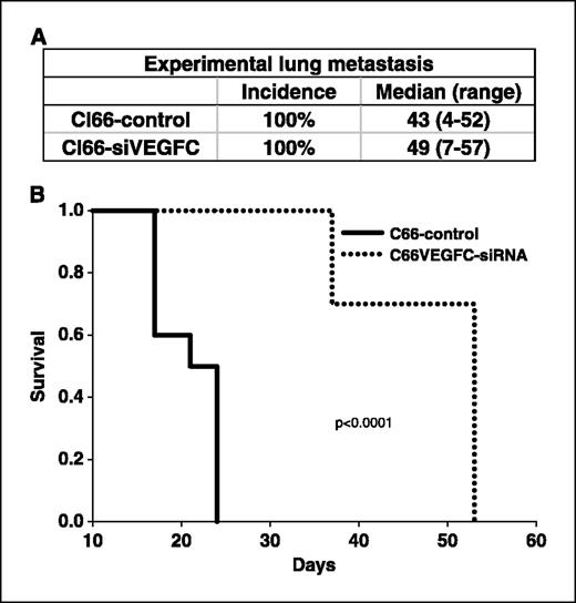 Figure 5. Experimental lung metastasis and survival. A, mice were injected i.v. with Cl66-control or Cl66-VEGFC-siRNA transfected tumor cells. Mice were killed 3 weeks following tumor injection and lungs were examined for micrometastasis. B, survival rate of mice injected i.v. with Cl66-control or Cl66-siVEGFC cells over time.