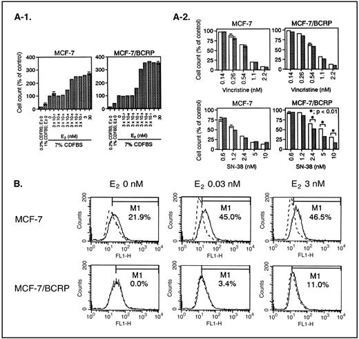 Figure 3. Cell growth studies and cellular topotecan uptake studies. A, cell growth studies. A-1, mitogenic effects of E2 on MCF-7 and MCF-7/BCRP cells. Cells were cultured in PRF-DMEM supplemented with the indicated concentrations of CDFBS and E2 for 4 days. Cell numbers were determined with a cell counter and presented as percentages relative to those of control cells cultured in PRF-medium. The given data are means ± SD of triplicate determinations. Invisible error bars are present within the symbols. The data are representative of two independent experiments. A-2, effects of E2 on anticancer drug sensitivities in MCF-7 and MCF-7/BCRP cells. Cells were cultured in PRF-medium with 0.03 or 3 nmol/L E2 for 4 days, and the cells (3 × 104) were then seeded into 12-well plates and cultured in PRF-medium with the same concentrations of E2 used in pretreatments, in the absence or presence of increasing doses of specific anticancer agents for a further 4 days. Cell numbers were determined with a cell counter, and presented as percentages relative to those of control cells cultured in the absence of anticancer agents. Clear columns, cells cultured with 0.03 nmol/L E2. Dotted columns, cells cultured with 3 nmol/L E2. The given data are means ± SD of triplicate determinations, and are representative of three independent experiments. Where a vertical bar is not shown, the SD is within the bar. *, P < 0.01. B, effects of E2 on cellular topotecan uptake. Cells were cultured in PRF-medium in the absence or presence of indicated concentrations of E2 for 4 days. After trypsinization, cells (5 × 105) were incubated with (solid line) or without (dotted line) 20 μmol/L topotecan for 30 minutes. After washing, cellular uptake of topotecan was measured by fluorescence-activated cell sorting. Under each set of experimental conditions, 20,000 events were analyzed. Ratio (%) represents a fraction of topotecan-treated cells in the M1 area subtracted by that of control cells in the M1 area.