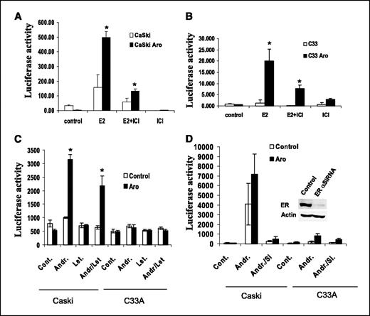 Figure 8. Estrogen enhances ER transcriptional activity in CaSki cells. ER/ERE activity was assessed by luciferase reporter assay using consensus ERE-promoter construct. Estrogen (10−9 mol/L) with or without ICI 182,780 was added to cell cultures of CaSki and CaSki-Aro (A) as well as C33A and C33A-Aro (B) transfected with ERE reporter vector. Androstenedione (Andr) was added as a substrate for aromatase, and Letrozole (10−6 mol/L) was added as an aromatase inhibitor (C). SiRNA specific to ER was used to inhibit ER expression (D). Effectiveness of siRNA-specific suppression of ER-α expression was verified (∼90% decrease) by Western blotting, using antibody against ER-α (D, inset). Luciferase assays were done as described in Materials and Methods (*, P < 0.01).