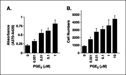 Figure 2. PGE2 stimulates HCA-7 cell proliferation. HCA-7 cells (1 × 104) were seeded in a 96-well plate and incubated with 0.1 μmol/L PGE2 for 24 hours after serum starvation for 24 hours. The cells were then labeled with BrdUrd for 6 hours. A, incorporated BrdUrd was measured colorimetrically by ELISA reader. Columns, means of absorbance (A370 nm-A492 nm) from three independent experiments done in triplicate; bars, ±SE. B, in addition, cells (1 × 104) were seeded in a 12-well plate and incubated with 0.1 μmol/L PGE2 for 5 days after serum starvation for 24 hours. Cell numbers were counted from triplicate wells. Columns, means from three independent experiments; bars, ±SE.