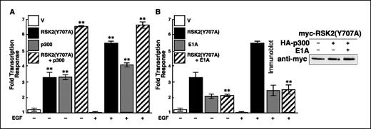 Figure 4. RSK2/p300 complex regulates PSA expression. LNCaP cells were transfected and analyzed as in Fig. 2A except that only the PSA-LUC reporter was used and a vector encoding either p300 (A) or E1A (B) was also used (n = 2, performed in triplicate). **, P < 0.01 obtained by comparing the response obtained in (A) to vector control or in (B) to RSK2(Y707A). Aliquots of the transfected LNCaP cells were lysed and immunoblotted.