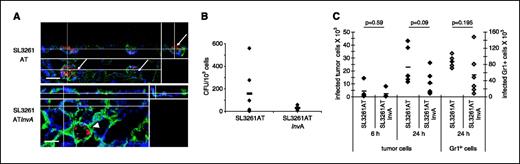 Figure 3. Invasive S. typhimurium infects tumor cells in vivo. A, confocal analysis of tumor sections. Tumor masses were treated with DsRed expressing SL3261AT (top) or SL3261AT InvA (bottom). Twelve hours later, tumor sections were stained with anti-TRP1 antibody (blue) to visualize tumor cells and with anti-H-2Kb antibody (green) to stain both tumor (arrows) and tumor-infiltrating cells (arrowheads), S. typhimurium is visible in red. Tumor cells are distinguishable from recruited immune cells because they express both TRP1 and low H-2Kb (blue and green). Noninvasive S. typhimurium are found only within tumor infiltrating cells, or attached to the outer membrane of tumor cells, whereas invasive S. typhimurium are found also within tumor cells. Bars, 10 μm. B, gentamicin protection assay. To avoid a massive recruitment of tumor-infiltrating cells, tumor masses were resected 30 minutes after bacteria injection. Tumors were processed and incubated in gentamicin containing medium, to kill extracellular bacteria. Cells were lysed and plated on TB agar. Recovered CFUs per 103 plated cells from each resected tumor are shown (individual points). Line, average number of colonies recovered from five different tumors. C, number of infected tumor cells (Trp-1+) or infected Gr1+ tumor-infiltrating cells was analyzed. Tumors were treated with GFP-expressing S. typhimurium, resected 6 or 24 hours later and processed for flow cytometry. Point, absolute number of infected tumor cells (♦) or infected Gr1+ cells (◊) for each treated tumor mass. Left, y axis, number of infected GFP+/Trp1+ tumor cells; right, y axis, number of infected GFP+/Gr1+ cells. Lines, average number of infected cells of four to six analyzed mice.