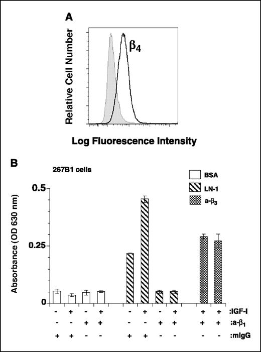 Figure 4. β1 mediates IGF-stimulated cell adhesion to laminin-1. A, FACS analysis for surface expressed β4 integrin was done using A9 mAb to human β4 integrin (solid line) followed by FITC-goat anti-mouse IgG. mIgG (gray filled) were used as a negative control. B, 267B1 cells were incubated in the presence of purified mouse blocking antibody to β1 integrin (P4C10) or mIgG for 1 hour on ice. Cells were plated on BSA or laminin-1 (LN-1) or antibody to β3 integrin (AP3), as a loading control at 37°C for 2 hours in the presence or absence of IGF-I. Attached cells were washed, and cell adhesion was analyzed by crystal violet staining. Columns, mean; bars, SE.