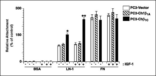 Figure 5. The β1C cytoplasmic domain is sufficient to promote IGF-I-mediated cell adhesion to laminin-1. PC3 cells were transiently transfected with CD4-β1A (Ch1β1A), CD4-β1C (Chβ1C), or Vector alone and cultured for 48 hours. Cells (80,000 per well) were plated on BSA, laminin-1 (LN-1), or fibronectin (FN)–coated 96-well plate in the presence or absence of IGF-I (100 ng/mL) and incubated for 2 hours at 37°C. After incubation, cells were fixed and stained for β-gal expression. Attachment of cells transfected with Ch1β1A, Chβ1C, or Vector alone were expressed as percentage of the number of attached cells transfected with CD4-β1A attached to laminin-1 in the absence of IGF-I, set at 100. Experiments were repeated at least twice with similar results. Columns, mean; bars, SE. Differences in cell adhesion to laminin-1 between Ch1β1A and Chβ1C either in the presence or in the absence of IGF-I are statistically significant. *, P ≤ 0.01; **, P ≤ 0.001.