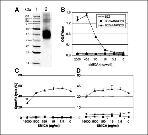 Figure 5. sMICA does not inhibit specific lysis of ligand expressing tumor cells at physiologic concentrations. A, lane 2, purified sMICA in the SDS-PAGE gel. Lane 1, molecular weight markers. B, B3Z, B3Z/wtNKG2D, and B3Z/chNKG2D cells were cultured in sMICA-coated plates, and the response to the ligand was measured by A570 nm (C and D). Human primary T cells transduced with empty vector (⧫), wtNKG2D (▪), or chNKG2D (▴) were preincubated with varying concentrations of sMICA and then tested in a 51Cr assay with RPMI8866 (C) or K562 (D) at an E:T ratio of 10:1. Points, mean of two experiments done in triplicate; bars, SD. *, P < 0.05, significant difference between the treated samples (in the presence of 15,000 ng/mL sMICA) and the untreated control.