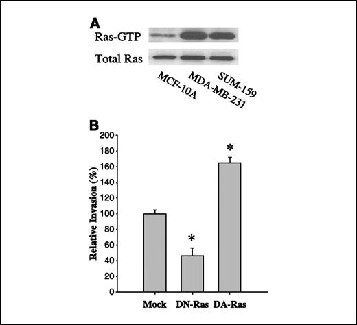 Figure 1. H-Ras regulates carcinoma invasion. A, Ras activity in MCF-10A, MDA-MB-231, and SUM159 cells was assayed as described in Materials and Methods. B, cells were transfected either with control, dominant-negative (N17) H-Ras, or dominant-active (V12) H-Ras. After 36 hours, invasion assay was done. Columns, mean of three independent experiments; bars, SD. *, P < 0.01, statistically significant, Student's t test.