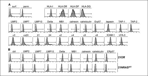 Figure 6. APM component up-regulation in BRAFV600E melanoma cells expressing inducible NRASQ61R. A, flow cytometry analysis for cell surface molecules (HLA class I and II antigens; αvβ3 integrin; β1, β4, α2, α3, α4, α5, and α6 integrin subunits; ICAM-1 and LFA-3 adhesion molecules) and for intracellular APM components (delta, MB1, LMP2, LMP7, LMP10, TAP-1, TAP-2, calnexin, calreticulin, ERp57, tapasin) in 21NRAS61ON cells (gray histograms) and 21NRAS61OFF (empty histograms). surf., nonpermeabilized cells stained with secondary antibody only; perm., permeabilized cells stained with secondary antibody only. B, top, flow cytometry analysis in permeabilized cells for selected APM components in 21Off cells without doxycycline (gray histograms) or with 1 μg/mL doxycycline (empty histograms). Bottom row, flow cytometry analysis in permeabilized cells for selected APM components in 21NRASWTON (gray histograms) or 21NRASWTOFF (empty histograms). ctrl, cells stained with secondary antibody only.
