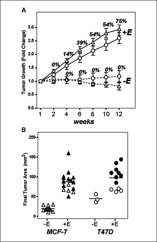Figure 3. Estrogen-dependent tumor growth is required for LN metastasis. A, MCF-7 (triangles) and T47D (circles) tumors were grown either with (+E) or without (−E) estradiol for 12 weeks in ovariectomized nude mice. Tumor area was quantified with digital calipers and presence of metastases was assessed by weekly whole-body imaging and by intravital imaging at necropsy. The percent of mice with LN metastasis is indicated at each time point. B, tumor area at necropsy as assessed by the diameter in two dimensions. Filled symbols, tumors from which metastasis developed; open symbols, tumors that did not generate metastases.