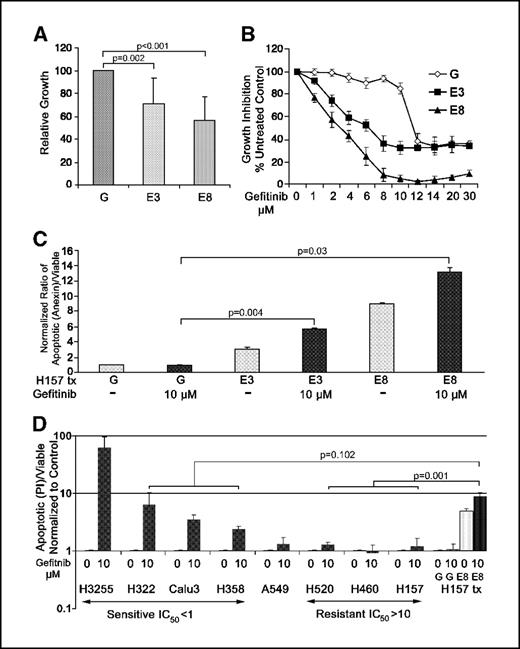 Figure 3. A, cell growth in H157 cell line transfected with control (H157-GFP, G) or E-cadherin (H157-E-cad-3, E3 and H157-E-cad-8, E8) measured by MTT assay. B, cell growth of E3, E8, and G in the absence (100%) or presence of gefitinib. C, cell death in E3, E8, and G cell lines in the absence (−) or presence of 10 μmol/L gefitinib. Apoptosis was evaluated using Annexin V and the ratio of apoptotic to viable cells normalized to untreated H157-GFP (green fluorescent protein) is presented. D, relative apoptotic cells (PI) to live cells normalized to the untreated control in cell lines grown in the absence or presence of 10 μmol/L gefitinib for 48 hours.