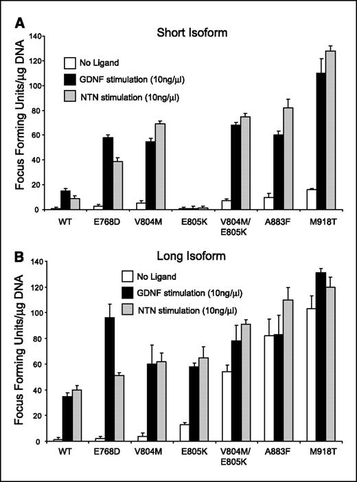 Figure 2. Transforming activity of the RET mutants. Columns, transformation potential of V804M, E805K, or the V804M/E805K mutations in a RET cDNA encoding the short isoform (A), or the long isoform (B). Other known RET gain-of-function mutations were assayed for comparison. White columns, no growth factor ligand present; black columns, GDNF added to the culture medium at 10 ng/μL; gray columns, neurturin added to the culture medium at 10 ng/μL.