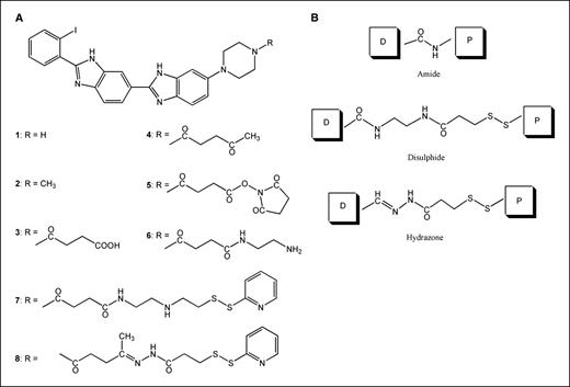 Figure 1. A, molecular structures of UVASens (2) and its derivatives. B, structures of drug (D)-protein (P) conjugates.