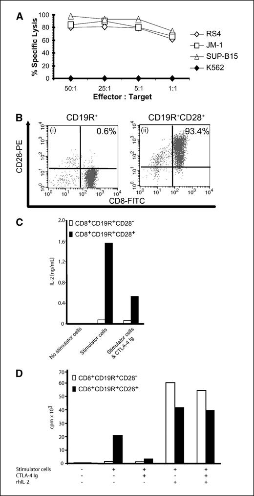 Figure 1. Generation and characterization of CD19R+CD28+ T cells. A, lysis of CD19+ leukemia lines (RS4, JM-1, and SUP-B15) by CD19R+CD28− T-cell clone by 4-hour CRA. Absence of lysis of CD19− K562 cells shows specificity of killing through CD19R CAR. B, cell surface expression by flow cytometry of CD28 on CD19R+CD8+ T-cell clone (i) before and (ii) after transduction with retrovirus expressing full length CD28 transgene. C, IL-2 in culture medium was analyzed after 36 hours of coculture of 2 × 105 T cells and Daudi responder tumor cells at 1:1 ratio. D, T-cell proliferation by 3H-thymidine incorporation measured at 90 hours after coculture at 1:1 ratio with 2 × 105 mitomycin C–treated Daudi stimulator cells supplemented with 10 units/mL rhIL-2 and 10 μg/mL CTLA-4 Ig as described.