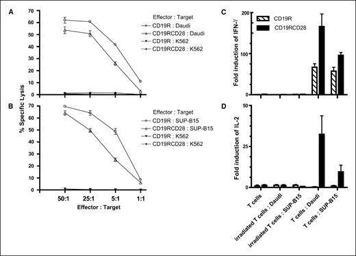 Figure 3. CD19-specific killing of tumor cells and cytokine production by CAR+ T cells. Killing of (A) CD19+ Daudi and (B) SUP-B15 target cells by CD19R+ and CD19RCD28+ T cells. Lytic activity of the genetically modified T cells was calculated by measuring chromium release after 4 hours. Spontaneous release for each target was <10%. CD19− K562 target cells were used as a negative control. Points, mean CRA results of specific lysis of triplicate wells; bars, SE. The ability of CD19R+ and CD19RCD28+ T cells to up-regulate (C) IFN-γ and (D) IL-2 production in response to antigen stimulation was investigated by quantitative RT-PCR. CD19R+ and CD19RCD28+ T cells were cocultured with irradiated CD19+ Daudi or SUP-B15 tumor cells at a ratio of 1:5. Aliquots were taken at 0 and 2 hours. Total RNA was isolated and used for quantitative RT-PCR. GAPDH served as a reference gene. Controls included cultures of tumor or T cells alone as well as irradiated tumor and T-cell cocultures. The fold change of expression was calculated using the comparative Ct method (29).