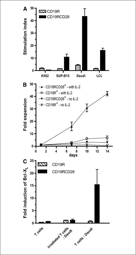 Figure 4. Proliferation and Bcl XL up-regulation by CAR+ T cells in response to antigen stimulation with CD19+ tumor cells. A, thymidine proliferation assay in absence of exogenous rhlL-2. Genetically modified T cells (104) were cocultured with mitomycin C–treated CD19+ Daudi, SUP-B15, LCL cells, and CD19− K562 cells at a 1:1 ratio. [3H]thymidine was added after 54 hours, and the incorporated counts were measured 18 hours later. Columns, stimulation index from triplicates; bars, SD. The T-cell stimulation index on the three CD19+ stimulator cells is significantly different between the CD19RCD28+ and CD19R+ responder cells (P < 0.05, Student's t test). B, T-cell numerical expansion on irradiated LCL (artificial APC). Points, mean; bars, SD. CD19RCD28+ and CD19R+ were stimulated with irradiated LCL at a T cell/LCL ratio of 1:50. Some cultures were supplemented with 25 units/mL of recombinant human IL-2 every other day. C, Bcl-XL induction by CAR+ T cells in response to antigen stimulation. The ability of CD19R+ and CD19RCD28+ T cells to up-regulate Bcl-XL production in response to antigen stimulation was investigated by quantitative RT-PCR. CD19R+ and CD19RCD28+ T cells were cocultured with irradiated CD19+ Daudi tumor cells at a ratio of 1:5. Aliquots were taken at 0 and 24 hours. Controls included cultures of T cells alone as well as irradiated T cell and tumor cocultures. The fold change of expression was calculated using the comparative Ct method (29).