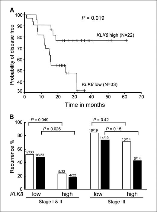 Figure 5. Expression of KLK8 in tumor tissue specimens from 88 patients with NSCLC. A, there is a statistically significant difference in the probability of disease-free survival between the patients with high and low KLK8 early-stage expression (stages I and II; P = 0.019). Tick marks, all patients who remained in complete remission as of their last follow-up. B, the recurrence rate was monitored at two follow-up times. Open columns, recurrence rate calculated at the last follow-up; filled columns, recurrence rate 6 months before the last follow-up. For the last follow-up, the recurrence rate for early-stage patients (stages I and II) was 52% (17 of 33) for patients with low KLK8 expression and 23% (5 of 22) for patients with high KLK8 expression, whereas the recurrence rate for late-stage patients (stage III) was 84% (16 of 19) for patients with low KLK8 expression and 71% (10 of 14) for patients with high KLK8 expression. For the follow-up 6 months earlier, the recurrence for stage I and II patients was 48% (16 of 33) for patients with low KLK8 expression and 18% (4 of 22) for patients with high KLK8 expression, whereas the recurrence for stage III patients was 74% (14 of 19) for patients with low KLK8 expression and 43% (6 of 14) for patients with high KLK8 expression.