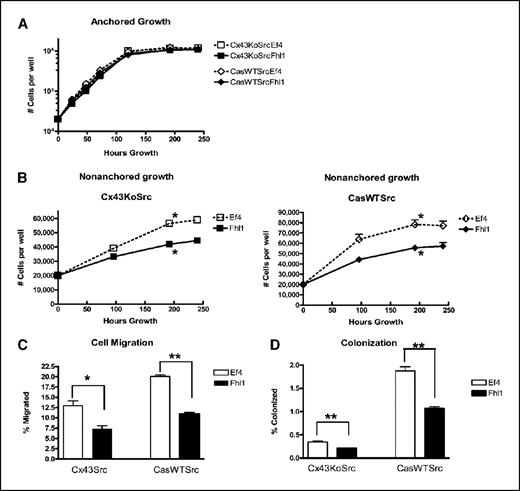 Figure 5. Fhl1 inhibits anchorage-independent growth and migration of Src-transformed cells. Growth and migration of Cx43KoSrc and CasWtSrc cells transfected with Fhl1 or the empty parental vector were examined. Anchored (A) and nonanchored (B) growth was analyzed by plating 20,000 cells in each well of 12-well tissue culture plates or 24-well low attachment tissue culture plates, respectively. Cells were counted at the time points indicated. Points, mean (n = 3 for anchored growth, migration, and colonization and n = 4 for nonanchored growth); bars, SE (A and B). C, cell migration was quantitated as the percentage of cells that migrated to the bottom of porous membranes. D, colonization was quantitated as the percentage of cells that migrated through porous membranes and attached to the surface ∼1 mm below the membrane. Columns, mean (n = 3 for anchored growth, migration, and colonization and n = 4 for nonanchored growth); bars, SE (C and D). Note that in most cases error bars do not extend outside symbols used for growth curves in (A and B). *, P < 0.05; **, P < 0.005 (t test). Fhl1 did not affect anchored growth but did suppress nonanchored growth and, to a greater extent, migration of Src-transformed cells.