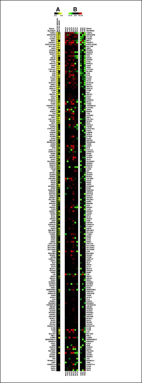 Figure 1. Results of global CEC expression profiling by microarrays. A, fold differences between median (median ratio) and mean (mean ratio) expression values for samples from cancer patients and healthy donors are presented for each gene in the form of a heat map (black to yellow scale). B, expression data for each gene in each profiled sample are presented in the form of a heat map (green to red scale) of log 2–transformed ratios between expression values in tested sample and the median expression value between cancer patients (ReCa, renal cancer; PrCa, prostate cancer; LuCa, lung cancer; CoCa, colorectal cancer; BrCa, breast cancer) and healthy donors (HlDo).