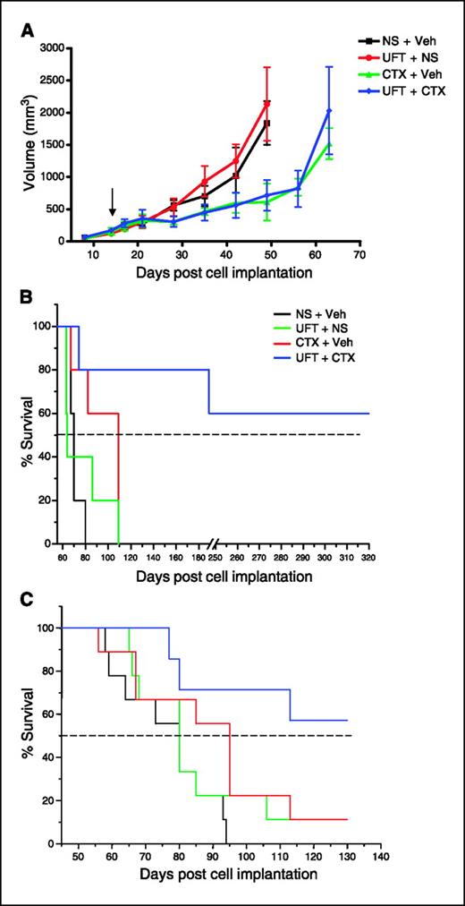 Figure 3. Chronic combination oral metronomic low-dose cyclophosphamide (CTX) and UFT prolongs survival of mice with advanced metastatic disease. A, 231/LM2-4 human breast metastatic variant cells were orthotopically injected into the MFPs of 6- to 8-week-old SCID mice. When tumors reached volumes of ∼200 mm3, treatment with vehicle control, 15 mg/kg/d UFT by gavage, 20 mg/kg/d cyclophosphamide through the drinking water, or a combination of cyclophosphamide and UFT treatments was initiated. Tumors were measured weekly and tumor volume was plotted accordingly. Arrow, time of initiation of treatment. Experiment A was repeated (n = 5 mice per group) for tissue pathology evaluation as indicated in Table 1. B and C, 6-week-old SCID mice were recipients of 231/LM2-4 transplanted cells. When tumors reached 400 mm3 (which took ∼3 weeks) primary tumors were surgically removed. Treatment with vehicle control, 15 mg/kg/d UFT by gavage, 20 mg/kg/d cyclophosphamide through the drinking water, or the daily combination of metronomic UFT and cyclophosphamide, was initiated 3 weeks after surgery on a daily nonstop basis. For example, in the experiment shown in (B), the duration of the therapy was 140 days and was initiated on day 43, 3 weeks after surgery, with termination at day 183. Mice were monitored frequently according to institutional guidelines. A Kaplan-Meier survival curve was plotted accordingly for all treated groups as indicated in the figure. A and C, n = 7-9 mice per group; B, n = 5 mice per group. NS, normal saline; Veh, vehicle control (0.1% HPMC).