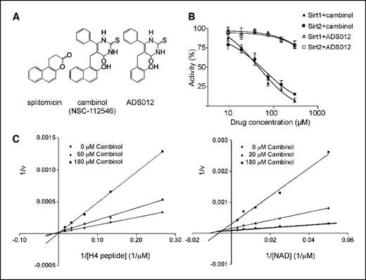 Figure 1. Sirtuin inhibitors. A, structure of splitomicin, cambinol (NSC-112546), and ADS012. B, cambinol inhibits human SIRT1 (IC50, 56 ± 2 μmol/L) and SIRT2 (IC50, 59 ± 4) NAD-dependent deacetylation of acetyl-histone H4 peptide. Napthol to phenol substitution in ADS012 leads to loss of SIRT1 and SIRT2 inhibition. Y axis, relative NAD-dependent deacetylase activity. C, cambinol exhibits competitive inhibition toward acetyl-histone H4 peptide (left) and noncompetitive inhibition toward NAD (right) in the SIRT2-catalyzed reaction. Left, double-reciprocal plots of 1 / v versus 1 / [acetyl-H4 peptide]. Concentrations of acetyl-H4 peptide ranged from 3.7 to 60 μmol/L in the presence of 500 μmol/L NAD and the indicated concentrations of cambinol. The intersection of the lines at the 1 / v axis indicates competitive inhibition. Right, double-reciprocal plots of 1 / v versus 1 / [NAD]. The concentrations of NAD ranged from 20 to 360 μmol/L in the presence of 20 μmol/L acetyl-histone H4 peptide and the indicated concentrations of cambinol. The intersection of the lines left of the 1 / v axis and above the 1 / [NAD] axis indicates noncompetitive inhibition. All data points were examined in triplicates and were fitted to double reciprocal plots using the Prism software. Y axis, 1 / v (hcpm−1).