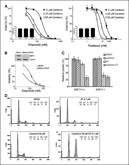 Figure 3. Inhibition of SIRT1 with cambinol sensitizes NCI H460 lung cancer cells to etoposide and paclitaxel and enhances etoposide-induced G2 arrest. A, dose-response curves of etoposide and paclitaxel with and without cambinol. Insets, toxicity of cambinol alone. Points, cell viability on treatment with combination of cambinol and chemotherapeutic agents (etoposide and paclitaxel), normalized to the viability of cells treated with cambinol alone; bars, SD. Experiments were done in triplicates. B, down-regulation of endogenous SIRT1 using RNA interference in NCI H460 sensitizes cells to etoposide. Top, SIRT1 and (tubulin loading control) immunoblots; pBabe, cells infected with empty retroviral vector; pBabe-siRNA, SIRT1-specific siRNA-encoding retroviral vector. Etoposide dose-response curve in cells with and without down-regulated SIRT1. The viability of cells is normalized to viability of untreated pBABE and pBabe-siRNA infected cells, 96 ± 3% and 98 ± 2%, respectively. Reduction of endogenous SIRT1 increases sensitivity to etoposide. C, cambinol does not chemosensitize SIRT1−/− MEF. SIRT1−/− MEFs and their SIRT+/+ littermate controls were treated with vehicle (DMSO), cambinol alone (50 μmol/L), etoposide alone (ET, 100 nmol/L), or a combination of cambinol and etoposide for 72 hours and viable cells were counted. Y axis, viability of drug-treated cells relative to vehicle-treated controls. Treatment of SIRT+/+ cells with cambinol increases their sensitivity to etoposide. SIRT1−/− are more sensitive to etoposide than SIRT+/+ cells and cambinol does not increase further their sensitivity to etoposide. D, cambinol promotes etoposide-induced G2 arrest. Flow cytometry DNA analysis of NCI H460 cells treated for 48 hours with DMSO, cambinol, etoposide, and the combination of cambinol and etoposide at indicated concentrations.