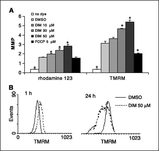 Figure 1. 3,3′-Diindolylmethane (DIM) induced a transient increase in MMP in MCF-7 cells. A, 3,3′-diindolylmethane induced mitochondrial membrane hyperpolarization in MCF-7 cells. MCF-7 cells were treated with different concentrations of 3,3′-diindolylmethane for 1 hour, and during the last 30 minutes of treatment, either rhodamine 123 (100 nmol/L) or TMRM (40 nmol/L) was added to the medium to measure MMP. Cells were then analyzed by Beckman-Coulter EPICS XL flow cytometer. Columns, mean fluorescence intensity; bars, SD. B, comparison of MMP by TMRM staining in MCF-7 cells after 1 and 24 hours of 50 μmol/L 3,3′-diindolylmethane treatment. The original flow cytometry data were processed by WinMDI 2.8 software. *, P < 0.01, significant differences compared with control.