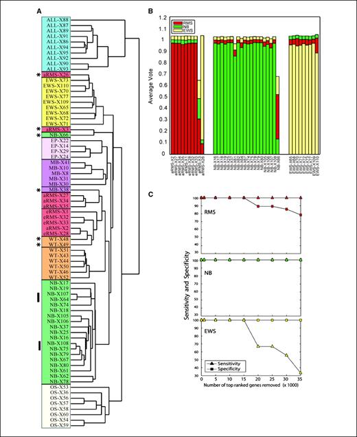 Figure 1. A, hierarchical clustering of xenografts. All quality clones (N = 38,789) of the preclinical pediatric xenograft models were subjected to hierarchical clustering with average linkage using Pearson's correlation coefficient as the metric. Distinct colors were used for each tumor type to enhance readability. *, xenografts that did not cluster with the majority of the same cancer type. Solid vertical lines, two pairs of samples each derived from a common cell line (SK-N-AS: NB-X75 and NB-X107; SMS-KCNR: NB-X75 and NB-X108) but obtained from different laboratories (see Supplementary Table S1) and derived from the s.c. (X75 and X107) or orthotopic (intra-adrenal; X108 and X107) route. B, ANN average committee votes from a feed-forward resilient back-propagation multilayer perceptron ANN with three layers: an input layer of the top 10 principal components of the data; a hidden layer with five nodes; and an output layer generating a committee vote for each of the three input classes. C, clone cutter: sensitivity and specificity with increasing number of the top-ranking clones removed from the training and testing data sets. Quality-filtered clones were ranked by determining the sensitivity of prediction of the training samples with respect to a change in the gene expression level of each clone. Then, after classification using the clone-cutter ANN, the sensitivities (true positives) and specificities (true negatives) of the ANN to predict the xenograft samples were calculated with each successive removal of the top-ranking ANN clones and plotted.