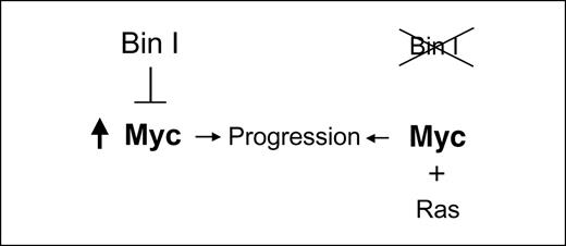 Figure 5. Model. Maintaining Myc expression is sufficient to drive cell division and tumorigenesis, yet in many human cancers, Myc is both deregulated and overexpressed, implying the existence of a selection for high Myc levels to provide a progression benefit. The model proposes that acquisition of this progression benefit can be phenocopied by Bin1 loss in cooperation with ras activation.