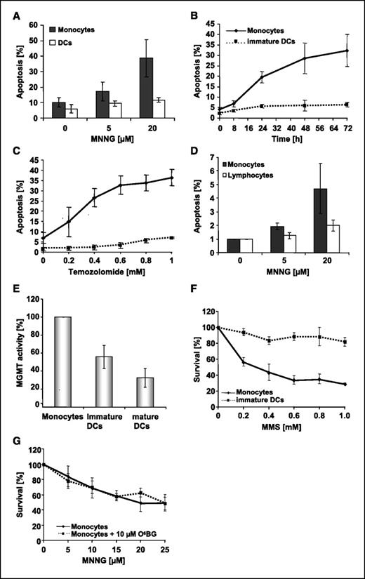 Figure 2. Cell death of monocytes and immature dendritic cells after treatment with methylating agents. A, apoptosis quantified by sub-G1 fraction upon exposure of cells to 5 or 20 μmol/L MNNG after 72 h. B, apoptosis as a function of postexposure time up to 72 h of cells treated with 20 μmol/L MNNG. Data of three independent experiments are pooled. C, apoptosis of monocytes and dendritic cells treated with different doses of temozolomide and measured after 72 h. D, frequency of apoptosis in monocytes and PBLCs treated with 20 μmol/L MNNG. Apoptosis was measured 72 h later. MGMT activity and survival response: E, MGMT activity was measured in monocytes and immature and mature dendritic cells from five different healthy donors. Relative MGMT activity is shown as percentage of activity of monocytes. F, sensitivity of monocytes and monocyte-derived dendritic cells after methyl methanesulfonate (MMS) treatment. Survival was measured by trypan blue exclusion assay. G, survival of monocytes in which MGMT was not depleted and depleted by treatment for 1 h with 10 μmol/L O6-benzylguanine (O6BG), followed by treatment with different doses of MNNG. Genotoxins and O6-benzylguanine were added from a stock solution directly to the medium onto the plates, without changing the medium. Columns/points, mean of at least three independent experiments; bars, SE.