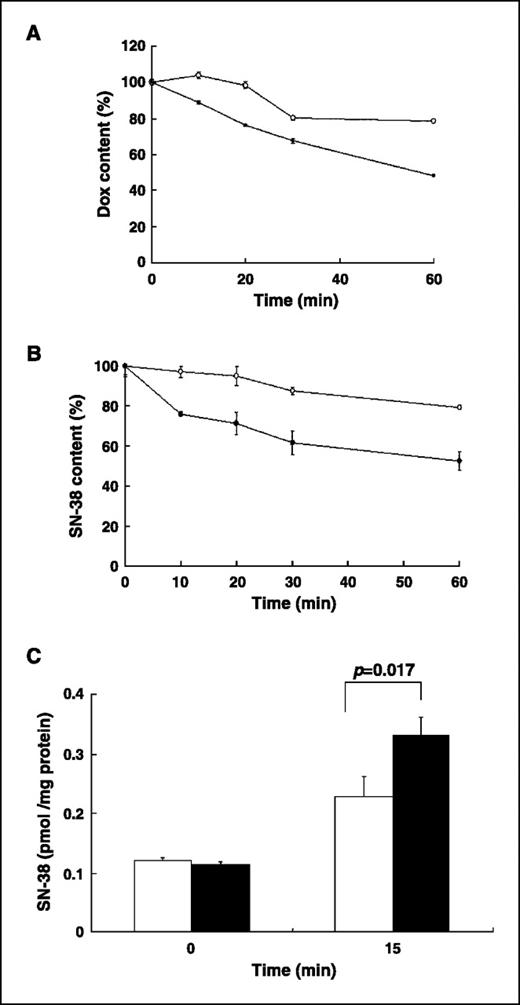 Figure 4. Effect of ATP7A expression on doxorubicin and SN-38 efflux from cells and uptake of SN-38 by membrane vesicles expressing ATP7A. A, CHO-K1 (○) and CHO/pCMB117 (•) cells were incubated with 30 μmol/L doxorubicin for 1 h and then further incubated in doxorubicin-free medium for the indicated times. After washing with ice-cold PBS, the radioactivity of solubilized cells was determined with a liquid scintillation counter. The results are expressed as the percentage of doxorubicin accumulated intracellularly. P < 0.005, for all times. B, CHO-K1 and CHO/pCMB117 cells were incubated for 1 h with SN-38. The cells were washed thrice with PBS and further incubated in fresh medium without SN-38 for the indicated times. SN-38 was extracted from the cells as described in Materials and Methods. SN-38 was quantified by HPLC. The difference at 10, 20, and 60 min is significant (P values were 0.001, 0.001, and <0.0001, respectively). ○, CHO-K1cells; •, CHO/pCMB117 cells. Points, mean of triplicate determinations; bars, SD. C, uptake of SN-38 by membrane vesicles from CHO-K1 (white columns) or CHO/pCMB117 (black columns) cells was examined over 15 min by a rapid filtration technique. Points, average of triplicate measurements following subtracting of the data in the absence of ATP from that in the presence of ATP; bars, SD. Uptake of SN-38 by membrane vesicles from CHO/pCMB117 was significantly higher at 15 min than that by membrane vesicles from CHO-K1 cells (P = 0.017).