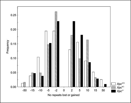 Figure 2. Spectrum of germline ESTR mutations in male mice with different Xpc genotypes (Kruskal-Wallis test, P = 0.3174). The progenitor allele was assumed to be the paternal allele closest in size to the mutant allele. This analysis was restricted by the resolution of agarose gel electrophoresis within the size range of progenitor alleles (3–5 kb). Given that the bands showing a shift of at least 1 mm relative to the progenitor allele were scored as mutants (see text), the smallest mutational change corresponded to the gain or loss of two repeats.