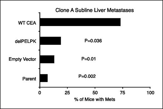 Figure 1. CEA enhances metastatic potential. Athymic nude mice were injected with 2 × 106 viable clone A or stable transfectant sublines into the spleen under general anesthesia through a left flank incision. Mice were recovered, followed, and then sacrificed after 32 d. The percent of mice with liver colonies is presented with a total of 15 mice per group combined from two separate experiments. P values are determined between the WT CEA group and each of the indicated parental or transfectant line with Bonferroni correction. The WT CEA transfectants formed liver colonies in significantly more mice than did any of the other groups, including the mice that received the delPELPK transfectant.