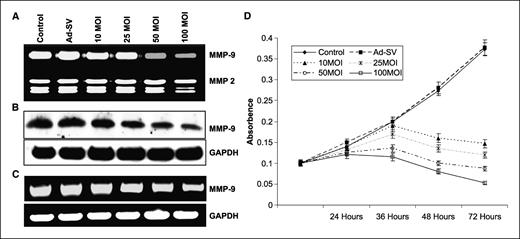 Figure 1. Effect of Ad-MMP-9 on Daoy cells. Daoy cells were infected with mock, 100 MOI of Ad-SV, or the indicated doses of Ad-MMP-9 for 36 h, and then the conditioned medium was collected. A, zymographic analysis for MMP-9 activity in the conditioned medium. B, Western blot analysis of MMP-9 protein expression in the conditioned medium. C, RT-PCR. Total RNA was extracted as per standard protocols, and cDNA was synthesized. The PCR reaction was set up using first-stand cDNA as the template for MMP-9. GAPDH served as a loading control. Data from a typical experiment done in triplicate. D, MTT proliferation assay was carried out for Daoy cells infected with mock, 100 MOI of Ad-SV, or the indicated doses of Ad-MMP-9. MTT activities were measured at 550 nm in triplicate at 24, 36, 48, and 72 h. Proliferation curve of average values from a typical experiment. The experiment was repeated thrice.