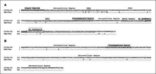 Figure 4. Comparison between amino acid sequences of Fas and FasL in C57BL/6J and SEG/Pas mice. Numbers on the left, amino acid position from the initiation codon. Dots, sequence identity. Polymorphisms are indicated by the corresponding amino acid substitution. A, Fas signal peptide and transmembrane region are shaded to discriminate the extracellular and the intracellular regions, both in white. The extracellular region consists of three CRDs; CRD1 and CRD3 are underlined to distinguish them from CRD2. The intracellular region contains the death domain (underlined), which consists of several subdomains, among them, α2 (bolded) and α3 (boxed and italicized) subdomains. Twelve nucleotide substitutions involving amino acidic changes were recorded in the extracellular domain (P58L, Q60S, K63E, M71T, T75K, T77I, A79T, P80S, N91K, L117P, P134S, and A143T) and 5 for the intracellular domain (R209H, M255I, S258N, K312N, and T317I). B, FasL transmembrane region is shaded to distinguish the extracellular and the intracellular regions, both in white. Two nucleotide substitutions affect the amino acid sequence of the intracellular domain (A24T and C35S) and four affect the extracellular one (P141L, G178S, T184A, and E218G).