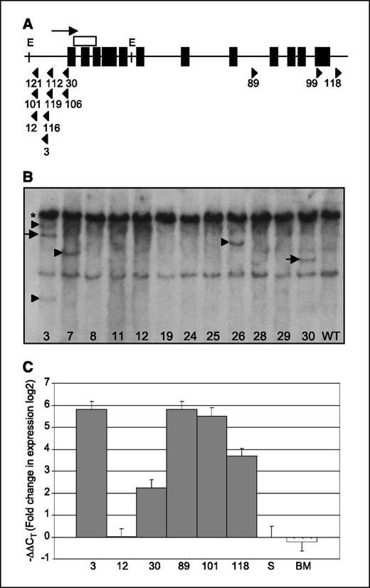 Figure 2. Meis1 insertions are frequent and result in overexpression of the Meis1 transcript. A, exon/intron structure of the Meis1 locus and location and orientation of viral insertion sites. Black boxes, Meis1 exons. Arrow, direction of transcription. Arrowheads, viral insertion site position and orientation. White box, position of the cDNA Southern probe. E, EcoRV restriction site. Numbers, mouse identification. B, Southern analysis of Meis1 locus. *, expected germ line band. Arrows, insertion-derived bands of predicted size based on LM-PCR data. Arrowheads, bands resulting from viral insertion events not detected by LM-PCR. C, real-time PCR analysis of Meis1 expression in spleens of mice with Meis1 insertion events. Expression was calculated using the ΔΔCT method (19) and is shown in log 2 scale. Expression level was normalized to that of wild-type spleen. Columns are labeled with mouse identification number. S, wild-type spleen; BM, wild-type bone marrow.