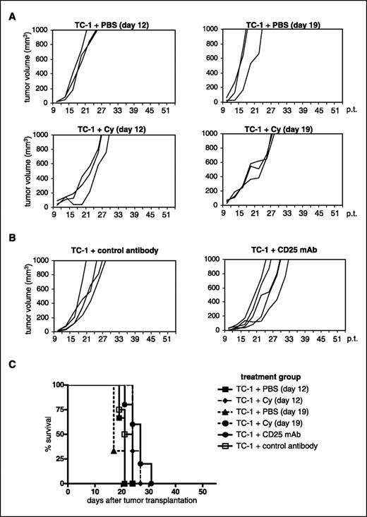 Figure 3. Effect of anti-CD25 mAbs and cyclophosphamide on TC-1 tumor growth. A, mice were s.c. injected with 5 × 104 TC-1 cells in the right flank. On day 12 post-transplantation (p.t.; left) or day 19 (right) after tumor transplantation, mice received a single i.p. injection of 100 mg/kg cyclophosphamide or PBS as a control and tumor growth was followed. Lines, individual animals (three mice per group). This experiment was repeated once with a similar outcome. B, mice were s.c. injected with 5 × 104 TC-1 cells. Five hundred micrograms anti-CD25 antibody or control antibody was injected i.p. on days −1, +2, and +4 after tumor injection. This experiment was repeated once with a similar outcome. C, survival curve of the mice described in (A) and (B).