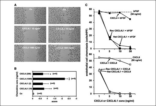 Figure 1. In vitro characterization of recombinant PF-4var/CXCL4L1. Recombinant PF-4var/CXCL4L1 was tested in the in vitro wound-healing assay for inhibition of endothelial cell migration (A and B). Confluent monolayers of HMVEC-d were scarred, and repair was monitored microscopically after 42-h treatment with recombinant CXCL4L1 (2 or 10 ng/mL) or CXCL4 (200 or 1,000 ng/mL). Zero scores correspond to the change in wound width for untreated control cultures (Co). A wound that retained a broader width compared with control wounds (inhibition of migration) received a negative score. A, representative photographs taken from two different experiments. B, columns, average changes in scores from three to five independent experiments; bars, SEM. *, P < 0.05; **, P < 0.01, statistically significant inhibition (Mann-Whitney test). In the Boyden chamber assay (C), recombinant (rec) CXCL4L1 (1–50 ng/mL) was compared with natural (nat) CXCL4L1 (1–50 ng/mL) and CXCL4 (1–50 ng/mL) for its capacity to reduce migration of HMVEC-L toward bFGF (50 ng/mL) or CXCL8 (80 ng/mL). To show specific migration, background (unstimulated control) migration (45 cells per high-power field) was subtracted. Results are derived from two independent experiments in triplicate. Angiogenic activity of bFGF (broken lines) and CXCL8 (dotted lines).