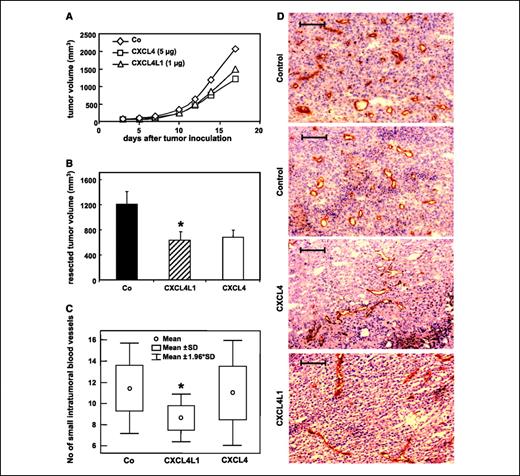 Figure 2. Inhibition of tumor growth and angiogenesis by treatment of B16-melanoma with the angiostatic chemokines PF-4/CXCL4 or PF-4var/CXCL4L1. Mice (nu/nu NMRI background, n = 38, compilation of two independent experiments) were injected on day 0 with 2 × 106 B16 melanoma cells and divided into three groups, which received 9 g/L NaCl saline (n = 14), 5 μg CXCL4 (n = 12), or 1 μg CXCL4L1 (n = 12) per injection, respectively. Treatment started on day 1 (experiment 2) or day 3 (experiment 1), and saline or chemokines were injected i.t. thrice a week. In total, six (experiment 1) or seven (experiment 2) injections were administered. Tumor dimensions were measured on every day of chemokine injection. Mean values per group were calculated (A). At these time points, the tumor volume was calculated using the formula: (4πab2) / 3 (a and b, largest and smallest radius, respectively). On day 17, tumors were resected, and the dimensions were measured to determine the tumor volume more exactly (B), which was calculated by the formula: (4πabc) / 3 (a, b, or c, measured radii). Points/columns, mean tumor sizes (mm3) per treatment group; bars, SEM. On day 17, resected tumors from the CXCL4L1-treated group were significantly smaller (*, P = 0.035) than those from the vehicle-treated group (Mann-Whitney test). The microvasculature in B16 tumors in the 20 mice of experiment 1 treated with 0.9% NaCl saline (n = 8), 5 μg CXCL4 (n = 6), or 1 μg CXCL4L1 (n = 6) per injection was evaluated. Per tumor, four biopsies were frozen and evaluated by immunohistochemistry. Blood vessels were visualized in frozen tissue sections by staining with anti-CD31 (red reaction product localizes to endothelial cells lining blood vessels) followed by a faint counterstain with Mayer's hematoxylin. Per tumor biopsy, 6 high-power fields were evaluated in one representative section by counting the number of vessels present, making a distinction between large and small vessels. Per representative section, the mean number of small and large blood vessels was calculated per high-power field. C, box-whisker plot of statistical analysis of the differences in the number of small blood vessels in the three groups of tumor treatment. D, representative photographs taken. Bar, ∼100 μm. The Kruskal-Wallis test (C) indicated that the three groups are statistically different (P = 0.017). The number of small blood vessels in the group treated with CXCL4L1 was significantly lower than in the groups treated with saline or CXCL4 (Mann-Whitney test, P = 0.01 and P = 0.02, respectively). Treatment with 5 μg CXCL4 did not significantly influence the number of small blood vessels, when compared with the saline control group. There was no significant difference in the number of large blood vessels per high-power field among the three groups (data not shown, Kruskal-Wallis test).