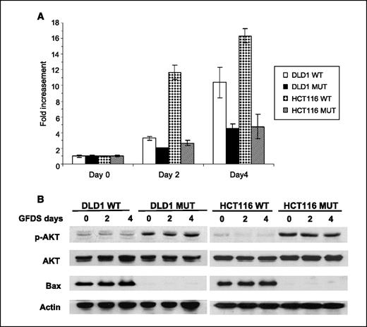 Figure 1. MUT PI3K confers resistance to GFDS-induced apoptosis. A, the WT and MUT cells of HCT116 and DLD1 were seeded in 96-well culture plates and deprived of growth factors and serum for 0, 2, and 4 d. DNA fragmentation assays were done as described in Materials and Methods. B, the cells were grown to 80% to 90% confluence and deprived of growth factors and serum for 0, 2, and 4 d. Cells were then harvested and Western blot assays were done to analyze downstream PI3K signaling, including the effects on AKT and Bax. Actin was used as a loading control. p-AKT, phosphorylated AKT.
