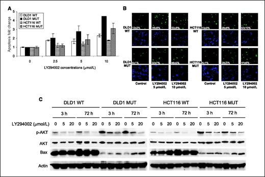 Figure 2. Effect of LY294002 on apoptosis of the WT and MUT cells under GFDS. A, the WT and MUT cells were seeded in 96-well culture plates and allowed to grow to 80% to 90% confluence. The cells were then deprived of growth factors and serum and exposed to various concentrations of LY294002 for 72 h. DNA fragmentation assays were done as described in Materials and Methods. B, the cells were grown to 50% to 60% confluence in 24-well culture plates and treated with LY294002 as described in (A). Apoptosis was detected by TUNEL assays (×100 magnification; top), whereas DAPI staining was used to identify total numbers of cells in a field (×100 magnification; bottom) as described in Materials and Methods. The numbers were the mean values of three different fields. C, the cells were seeded in six-well culture plates and treated with LY294002 as described in (A). The cells were then harvested and PI3K downstream signaling (AKT and Bax) was analyzed by Western blots. Actin was used as a loading control.