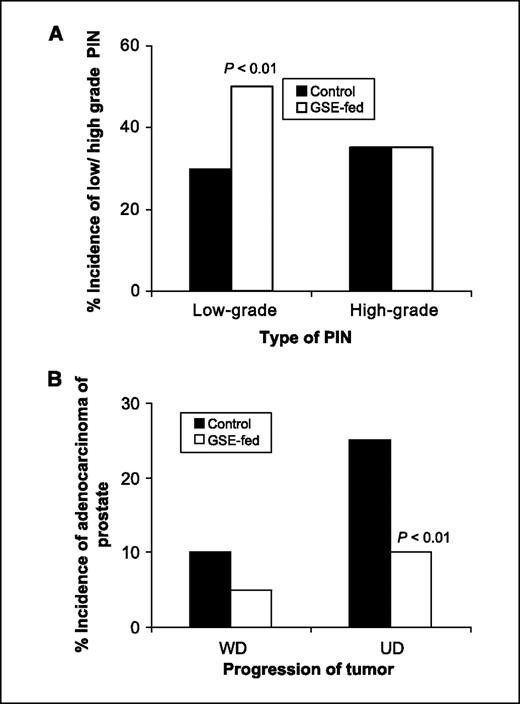 Figure 2. Oral GSE inhibits neoplastic progression of prostate in TRAMP mice. The prostate glands from the study detailed in Fig. 1 were histopathologically analyzed for the different stages of the neoplastic progression of the dorsolateral prostate. A, effect of GSE feeding on the incidence of LGPIN and HGPIN lesions in TRAMP mice. B, effect of GSE on the incidence of adenocarcinoma of prostate in TRAMP mice. P < 0.01 (χ2 test). WD, well-differentiated tumors; UN, undifferentiated (both moderately and poorly differentiated) tumors.