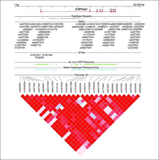 Figure 1. CYP11A1 genetic architecture. A 50-kb interval from human chromosome 15q24.1 is depicted that encompasses the CYP11A1 gene and 10 kb to each flank (National Center for Biotechnology Information build 36.1 from 72457199 to 72407199 bp). The gene's exons are numbered (top) with intervening introns. A 13.8-kb span of the first intron is dominated by repetitive elements. Variant sites observed among Chinese study subjects are positioned on the map. The 64 variants were identified by validation of sites annotated within dbSNP, by de novo discovery through SSCP/sequencing and by resequencing of select population haplotypes. A pairwise D′ matrix (bottom) for 356 Chinese study subjects across a subset of 27 SNPs with MAF ≥ 0.05. The matrix graph indicates relatively strong LD across the locus. Red, D′ = 1 (LOD ≥ 2); blue, D′ = 1 (LOD < 2); pink, D′ < 1 (LOD ≥ 2); white, D′ < 1 (LOD < 2).