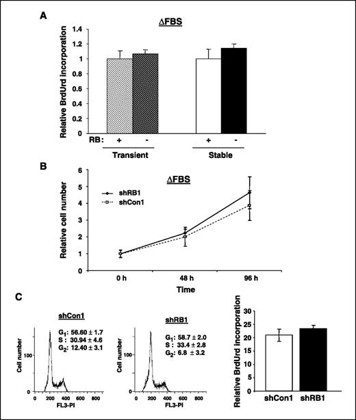 Figure 2. RB depletion confers no proliferative advantage in the presence of androgen. A, LNCaP cells transiently transfected with pMSCV-puroRb3C or pMSCV-puro (hashed columns) or stable clones described in Fig. 1B, shRB1 and shCon1 (solid columns) were cultured in ΔFBS and monitored for BrdUrd incorporation as described in Materials and Methods. For comparison, BrdUrd incorporation in each RB control was set to 1. B, shRB1 and shCon1 cells were seeded at equal density in the presence of androgen (ΔFBS), and after 24 h of culture (time, 0 h), cell number was monitored at the times indicated. Data represent at least three independent experiments wherein data for each time point were collected with triplicate biological replicates (P > 0.05, ANOVA). C, asynchronous populations of shRB1 and shCon1 cells were cultured for 48 h, pulsed with BrdUrd for 1 h, and then analyzed for cell cycle and BrdUrd incorporation. Data represent four independent samples (P > 0.05, ANOVA).