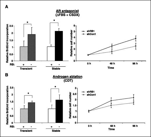 Figure 3. RB depletion reduces the efficacy of single agent–based hormonal intervention. A, as in Fig. 2, transient RB knockdown cells or stable clones were cultured in androgen containing media supplemented with 1 μmol/L Casodex or 0.1% DMSO (vehicle control). After 48 h of treatment, cells were then monitored for relative BrdUrd incorporation (left), or cell number was monitored at indicated time points (right). B, experiments were repeated as in (A), except that cells were cultured in steroid-depleted serum (CDT) for 48 h before BrdUrd labeling (left) or monitored for cell viability as indicated (right). Data represent at least three independent experiments wherein data for each time point were collected with triplicate biological replicates. *, P < 0.05, ANOVA.