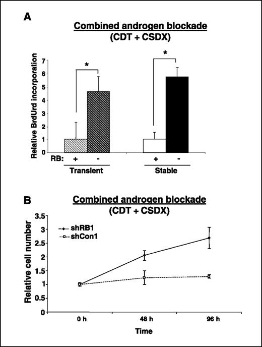 Figure 4. RB depletion triggers bypass of combined androgen blockade. As in Fig. 3B, transient RB knockdown cells or stable clones were cultured in steroid-depleted serum (CDT) media supplemented with 1 μmol/L Casodex or 0.1% DMSO (vehicle control). After 48 h of treatment, cells were then monitored for relative BrdUrd incorporation (A) or cell number monitored at indicated time points (B). Data represent at least three independent experiments, wherein data for each time point were collected with triplicate biological replicates. *, P < 0.05, ANOVA.