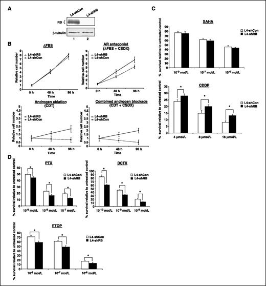 Figure 6. Impact of RB depletion is conserved in multiple prostate cancer cell systems. A, stable clones of RB knockdown (L4-shRB) or control (L4-shCon) were generated from parental LAPC-4 cells and tested for RB expression levels using immunoblot analysis. B, L4-shRB and L4-shCon cells were cultured in ΔFBS or CDT media supplemented with or without Casodex, and cell number was monitored at indicated time points using trypan blue exclusion. Data represent at least three independent experiments wherein data for each time point were collected with triplicate biological replicates. C and D, stable clones were cultured in ΔFBS, treated with SAHA, cisplatin, paclitaxel, docetaxel, and etoposide as described in Fig. 5, and cell number was measured using trypan blue exclusion. The number of cells remaining after drug treatment was set relative to condition without cytotoxic challenge (100% survival). Data represent at least three independent experiments wherein data were collected with duplicate biological replicates. *, P < 0.05, ANOVA.