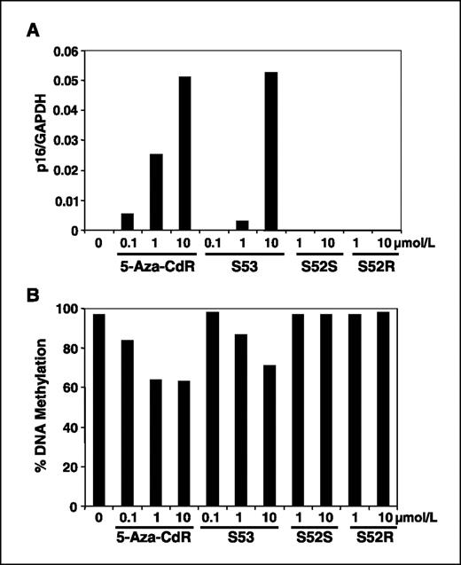 Figure 4. Re-expression of p16 and inhibition of DNA methylation by S53 but not by S52 in T24 cancer cells. T24 cells were treated with 5-aza-CdR, S53, a reverse dinucleotide of S110, S52S, and S52R, and the phosphorothioate analogues of S110 at varying concentrations continuously for 6 d and harvested for RNA isolation (A). Quantitative real-time reverse transcription-PCR analysis of p16 normalized against GAPDH. T24 cells treated with 5-aza-CdR, S53, S52S, and S52R were subject to DNA methylation analysis at the 5′-region of the p16 gene by Ms-SnuPE (B). The level of DNA methylation in percent is an average of three CpG sites in exon 1 of the p16 gene.