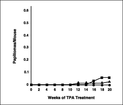 Figure 1. Tumor incidence in TPA only–treated mice. Incidence of tumors as a function of time. Groups of line 32 K14E5 transgenic mice (▪, n = 35) and nontransgenic mice (•, n = 35) were treated with TPA alone (15 nmol twice weekly) for 20 weeks and monitored for tumor formation. Incidence of spontaneous tumors in untreated line 32 K14E5 mice (▴, n = 85). All tumors were collected, fixed in buffered formalin, embedded, sectioned, stained with H&E, subjected to histologic analysis, and found to be papillomas. There was no significant difference (P = 0.35) in the incidence of papillomas between TPA only–treated and untreated K14E5 mice at the 20-week end point.
